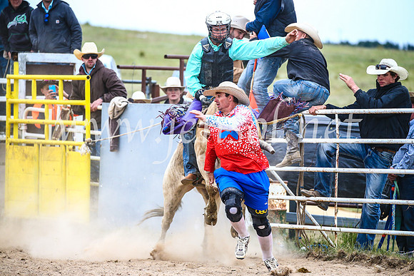BungendoreRodeo2017_6725