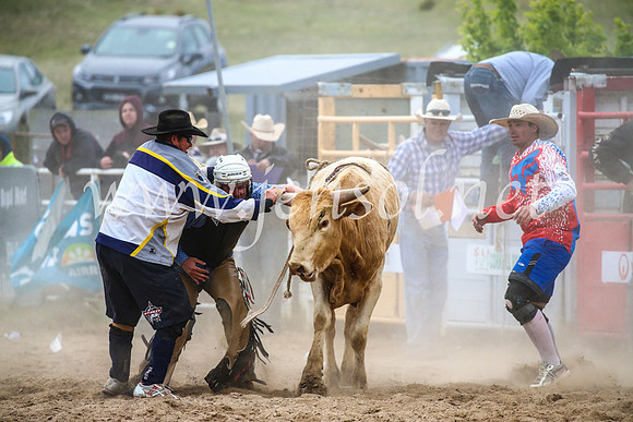 BungendoreRodeo2017_7240