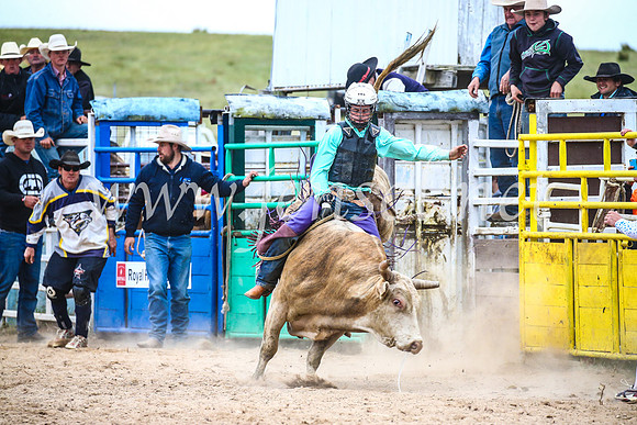 BungendoreRodeo2017_6718