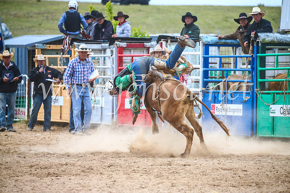 BungendoreRodeo2017_7318