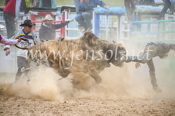BungendoreRodeo2017_7062