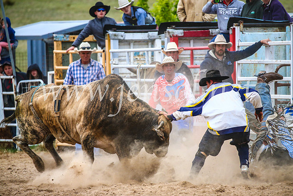 BungendoreRodeo2017_7422
