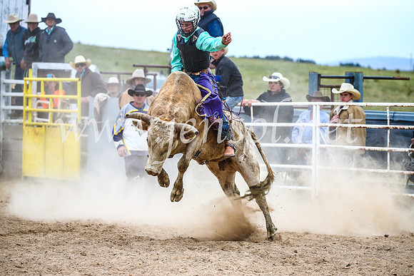 BungendoreRodeo2017_6760