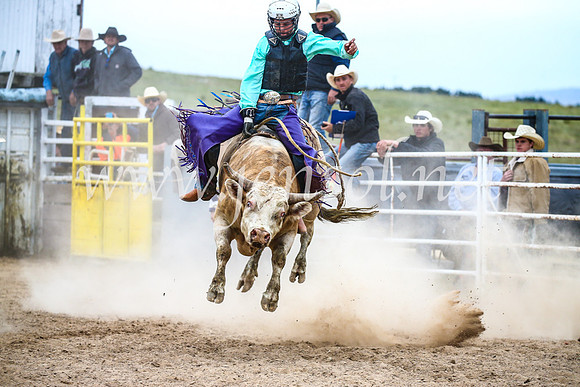 BungendoreRodeo2017_6762