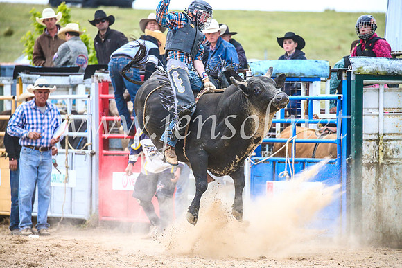 BungendoreRodeo2017_6827