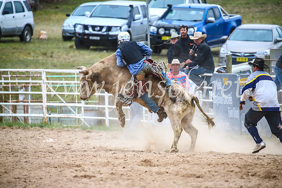 BungendoreRodeo2017_7358