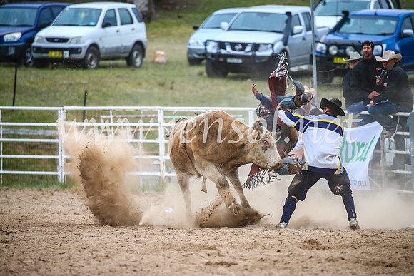 BungendoreRodeo2017_7383
