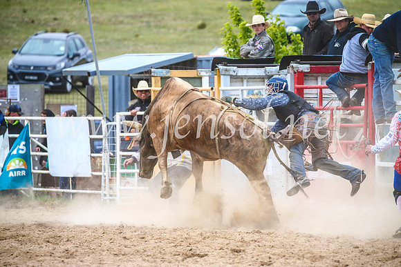 BungendoreRodeo2017_6689