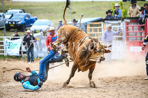 BungendoreRodeo2017_7432