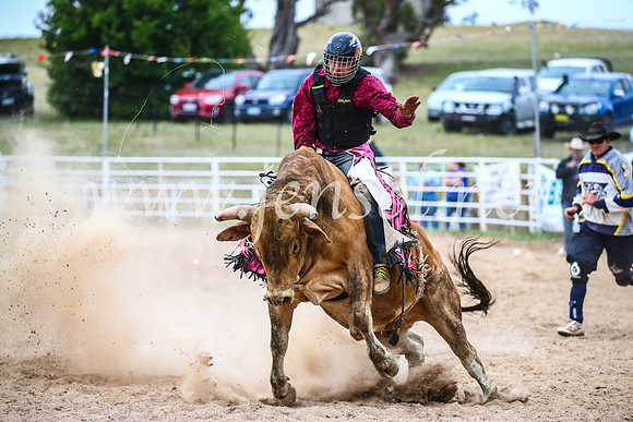 BungendoreRodeo2017_7126