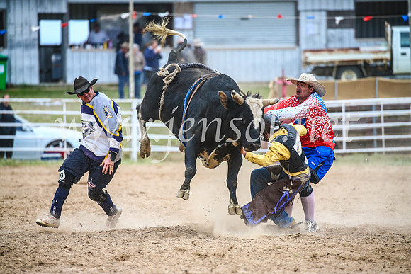 BungendoreRodeo2017_6936