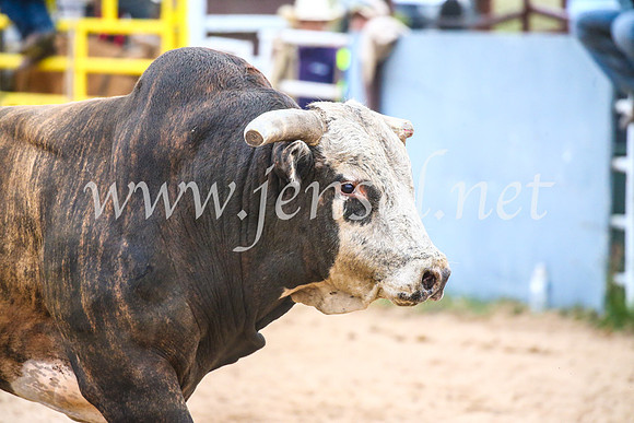 BungendoreRodeo2017_6994