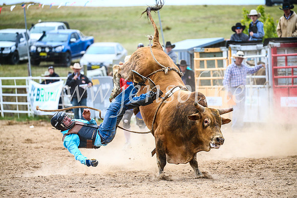 BungendoreRodeo2017_7439
