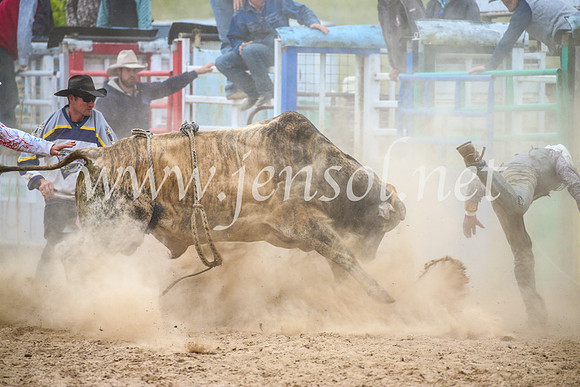 BungendoreRodeo2017_7064
