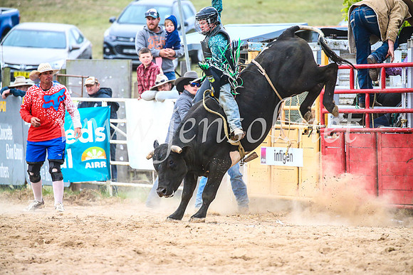 BungendoreRodeo2017_7250