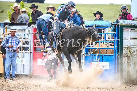 BungendoreRodeo2017_6829