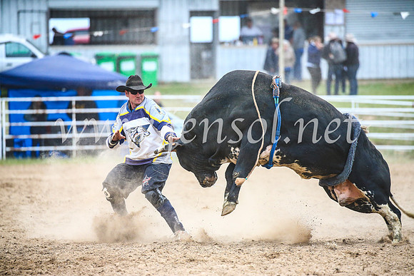 BungendoreRodeo2017_6952