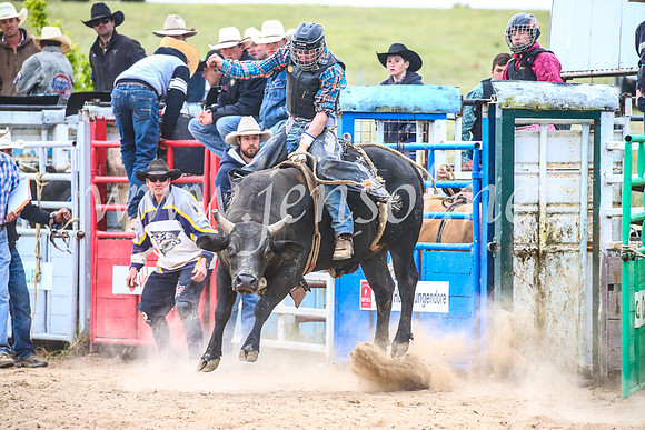 BungendoreRodeo2017_6823