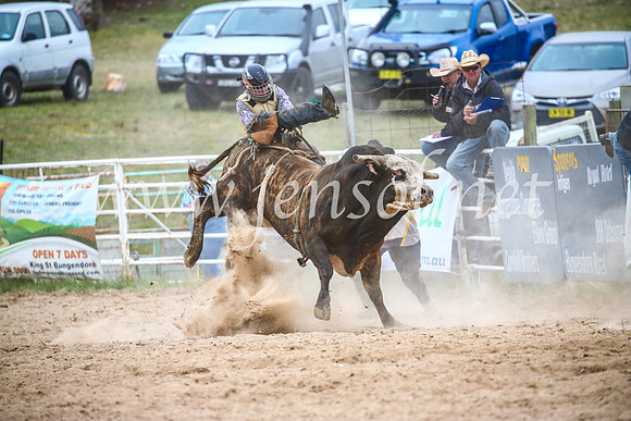 BungendoreRodeo2017_6959