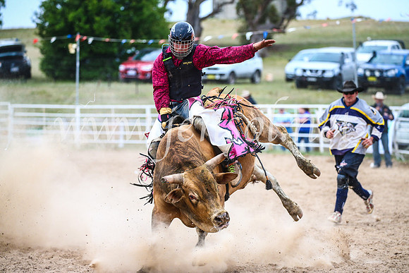 BungendoreRodeo2017_7114