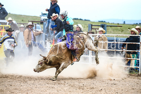 BungendoreRodeo2017_6742
