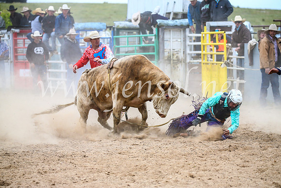 BungendoreRodeo2017_6781