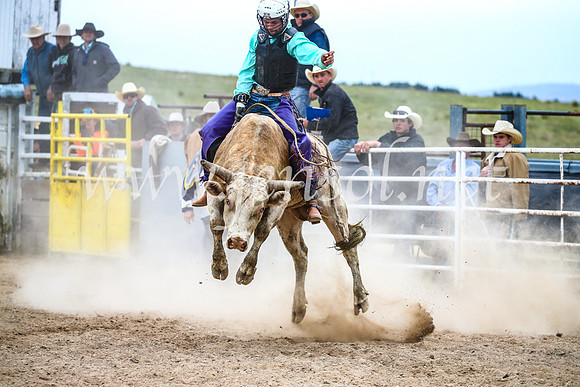 BungendoreRodeo2017_6764
