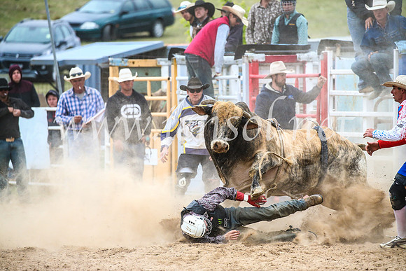 BungendoreRodeo2017_7057