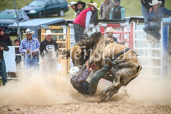 BungendoreRodeo2017_7058