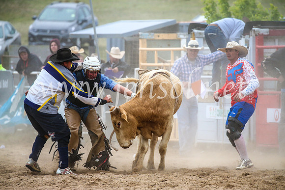 BungendoreRodeo2017_7241