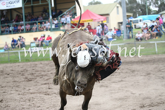 MoruyaRodeo2017_0404