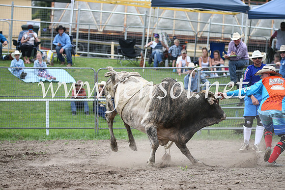 MoruyaRodeo2017_0589
