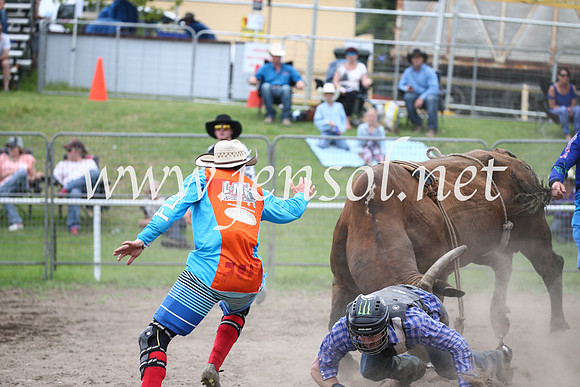MoruyaRodeo2017_0538