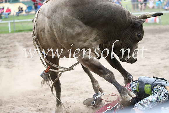 MoruyaRodeo2017_0423