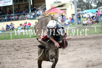 MoruyaRodeo2017_0405