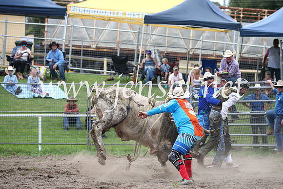 MoruyaRodeo2017_0587