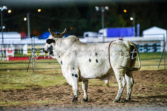 BathurstShow2017Sat_3142