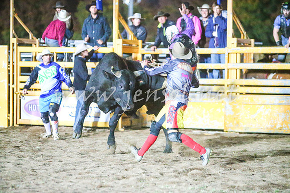 BathurstShow2017Sat_2885