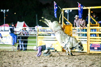 BathurstShow2017Sat_2767
