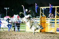 BathurstShow2017Sat_2754