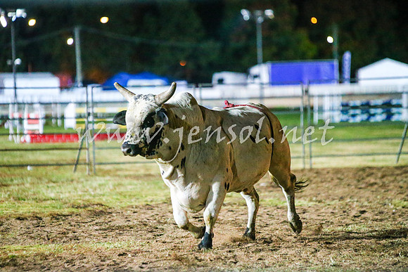 BathurstShow2017Sat_3140