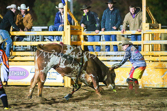 BathurstShow2017Sat_3159