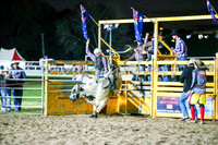 BathurstShow2017Sat_2753