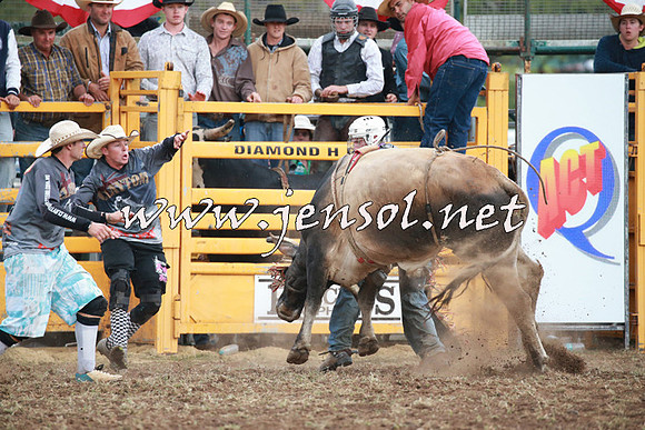 QueanbeyanRodeo2016_1256