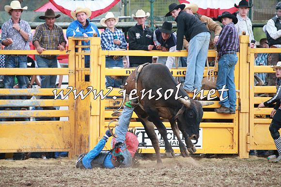 QueanbeyanRodeo2016_1206