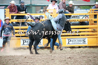 QueanbeyanRodeo2016_0716