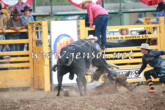 QueanbeyanRodeo2016_1290