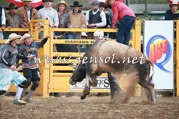 QueanbeyanRodeo2016_1255