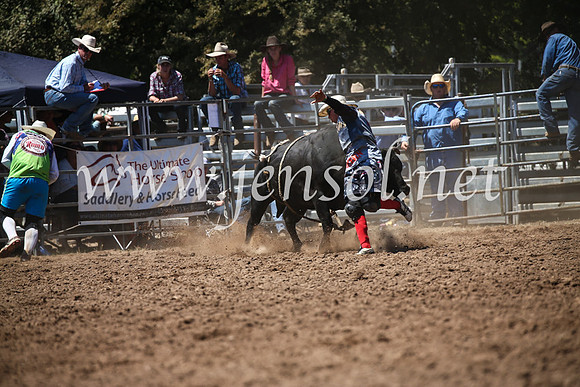 TaralgaRodeoSun2017_1117