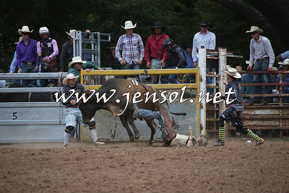TaralgaRodeo2016_6554
